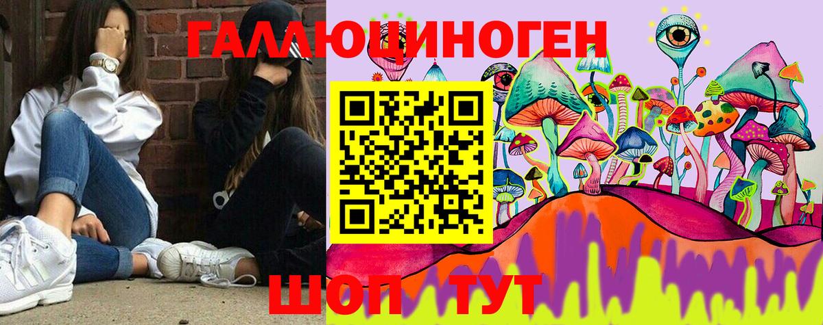 Псилоцибиновые грибы Cubensis Вольск